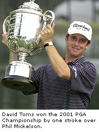David Toms