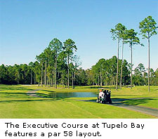The Executive Course