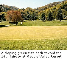 Maggie Valley Resort