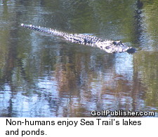 Augusta - Sea Trail