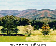 Mount Mitchell Golf Resort