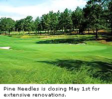 Pine Needles