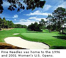 Pine Needles