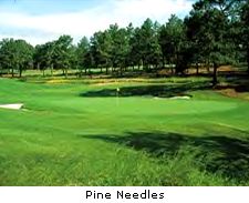 Pine Needles