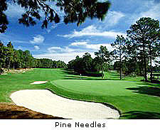 Pine Needles