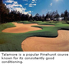 Talamore Golf Course