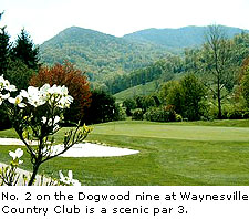 Waynesville