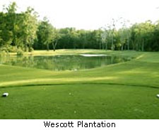 Wescott Plantation