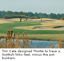 Thistle Bunkers